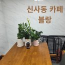 설레이미