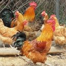 폭포산장 이미지