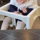 춘천막국수 | [대전 태평동 맛집] 항아리 숙성으로 더 야들야들한 '춘천닭갈비막국수' 후기