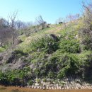 대강면 송내마을 이미지