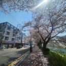 덕신강변공인중개사사무소 이미지