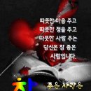 참 좋은 사람 ~ 이미지