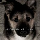 추억만들기 - 제주시 용해로 123 | 추억만들기