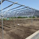 백관태양광발전소 이미지