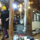 마실추어탕 이미지