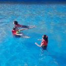 학교가자캠핑장 이미지