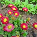 관음어린이집 이미지