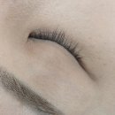마곡 속눈썹 연장｜유지력 좋은 LED마스카라연장 더채움 후기