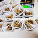 석현초등학교(병설) 이미지