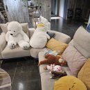 스테이 와이(Y) | 제주, 자연 속 힐링을 선사하는 Y리조트