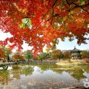 서울경복궁 이미지