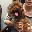 가인동물병원 이미지