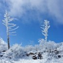 육가원칙 이미지