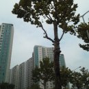 대전 유성구 죽동지구의 대우 푸르지오 아파트단지의 모습 이미지