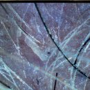 땡큐 베리 도그 이미지