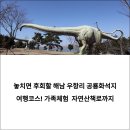트리케라톱스-3 | 아이들에게 좋은 추억이 될 해남 우항리 공룡화석지 여행코스! 공룡박물관·익룡·새발자국 화석부터...