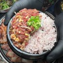 진갈매기 이미지