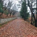 용천목장 이미지