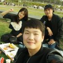 여행정보서비스
