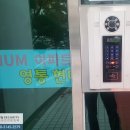 경기도 수원시 팔달구 권광로317번길 이미지