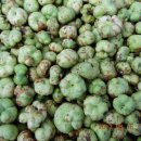 무주읍011 이미지