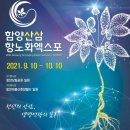 청학산 이미지