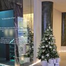 오 판소리(기초편) | 피부과 모공축소 시술 비용 아깝지 않은 쥬베룩 후기 (효과, 통증까지)