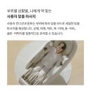 파우제 이미지