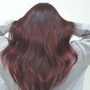 성지카인테리어 | 내 인생 최고의 변신, 송도에서 찾은 머릿결 성지순례 후기