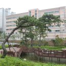 롯데캐슬에코 101동 앞 이미지