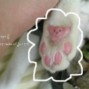 와방 이미지
