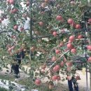 일신농장 이미지