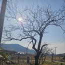 1박2일 - 논산시 왕릉로 96-3 | 1박2일