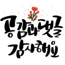 더노벰버라운지구읍뱃터점