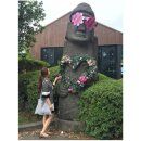 원담 민박 | 제주도 가볼만한곳 먹거리&amp;볼거리 정리본!