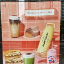 봉선로 | [스타벅스 봉선로점] 가을 신메뉴 코르타도 1/2 카페인 커스텀 1등 후기