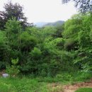 수토산방 티스토리