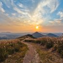 어음2리입구 네이버블로그