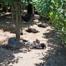 지산농원 이미지