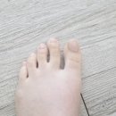 폴라리스네일 | 5분 만에 끝내는 역대급 퀄리티 셀프젤네일 후기