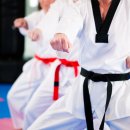 행복한태권도 이미지