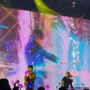 뉴오피스푸드 | AKMF 2026 ASML 코리아 뮤직 페스티벌 8월 31일 후기