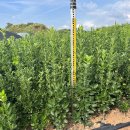 사철농장 이미지