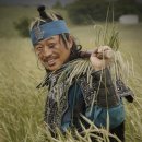 전라도거시기 이미지