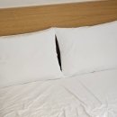 29170-6-A-11 | 모태안 산후조리원 럭스엘리시아 6층 디럭스A 11박12일 후기