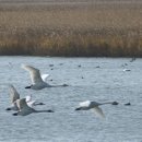 하단동220 이미지