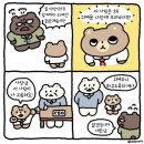 카페해브