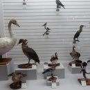 전라북도산림박물관 이미지