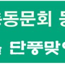 혜화명륜동B 이미지