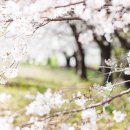 오유엔(oun)
